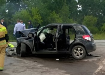 Семеро погибли в ДТП на трассе в Новосибирской области