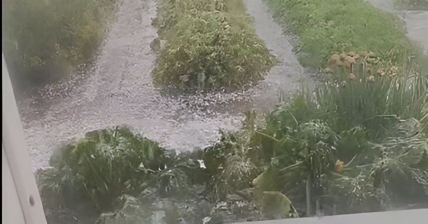 Ливень и град оббили ранетки и лепестки цветов в Новосибирской области