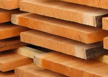 В Новосибирске стартовал этап фестиваля «Архреализация»