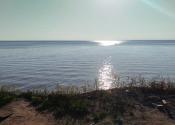 Лишь семь пляжей Новосибирской области признали пригодными для купания