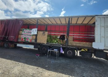 В Новосибирске изъяли 7,5 тонн арбузов у нелегальных торговцев