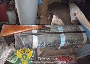 Условный срок за подаренное племяннику ружьё получил житель Новосибирской области