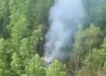 СК: все пассажиры самолета скончались при крушении в Амурской области