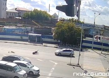 Легковушка сбила самокатчика на пешеходном переходе