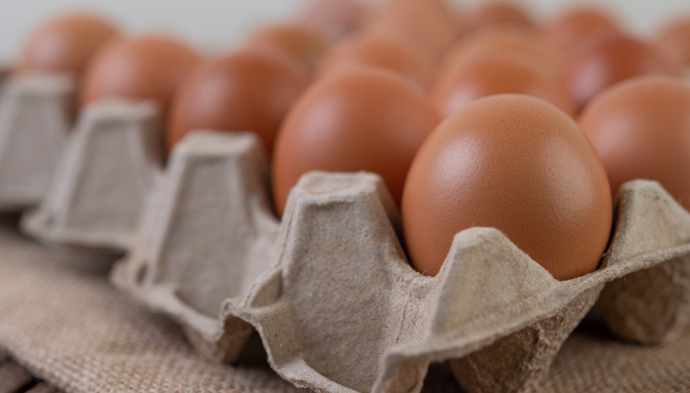 Яйца упали в цене на 20% за месяц в Новосибирской области