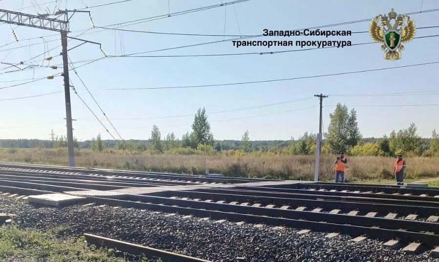 Пенсионерка погибла под колёсами поезда в Новосибирской области