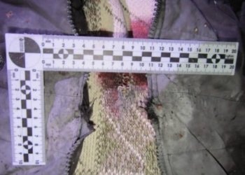 Новосибирец получил срок за убийство знакомого из-за лайков девушки в соцсетях