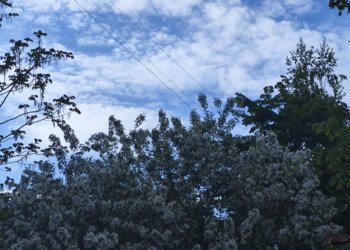 Когда жара вернется в Новосибирскую область: прогноз погоды на два дня