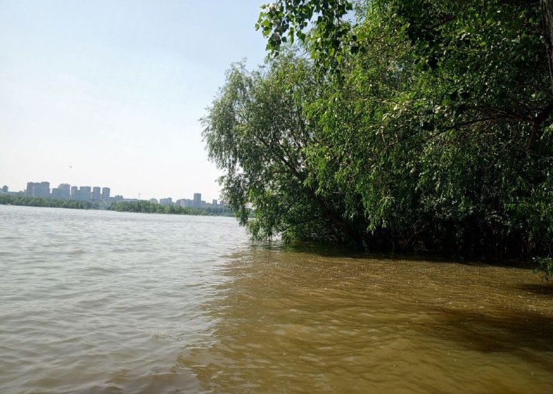 Стало известно, сколько новосибирцев погибли на воде за июль