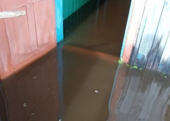 Более 60 частных домов подтопил паводок из-за ливней в Омской области