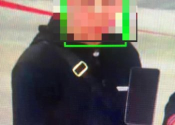 Стрелявшего из ракетницы хулигана задержали