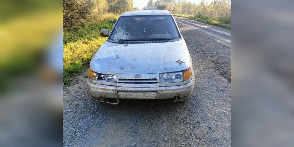 Пьяный водитель пытался скрыться с места смертельного ДТП в Новосибирской области