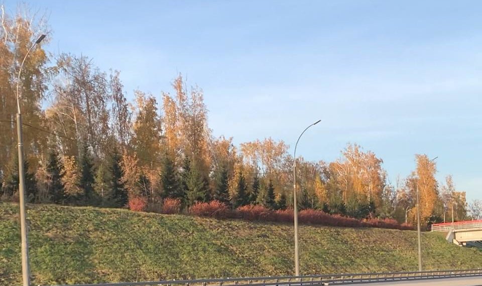 Рекордно тёплую осень в Новосибирске прогнозируют метеорологи