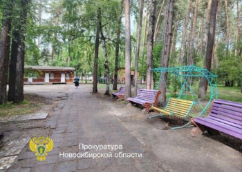 Прокуратура приостановила деятельность детского лагеря в Новосибирской области
