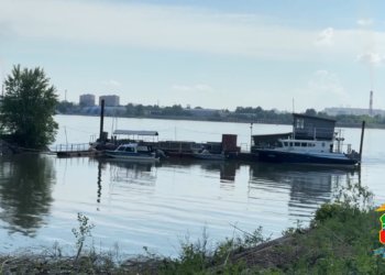 Жителю Томска может грозить срок за ловлю четырёх стерлядей в Новосибирске