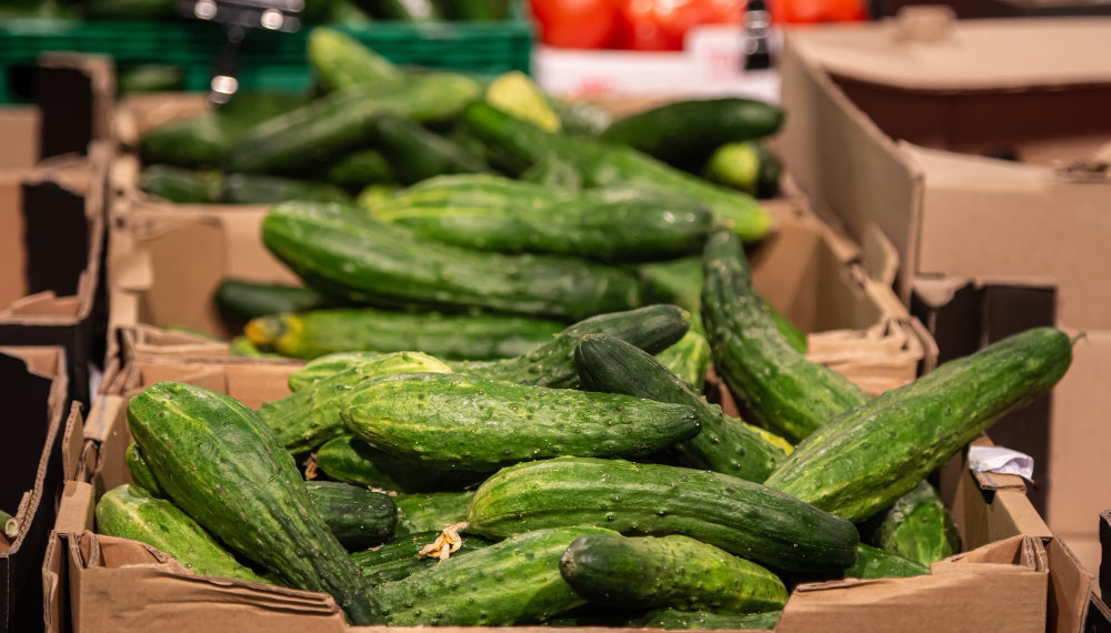 Огурцы подорожали на 17% в Новосибирской области