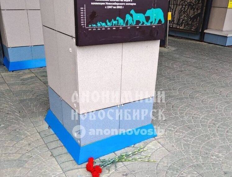 Новосибирцы несут цветы в память о животных, погибших во время пожара в зоопарке