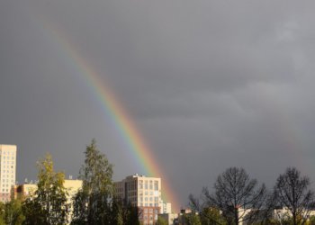 Грозовые дожди прогнозируют синоптики в Новосибирской области