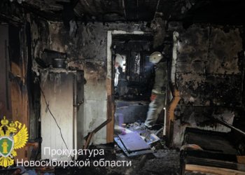 Остались без присмотра: два ребенка погибли в пожаре в Новосибирской области
