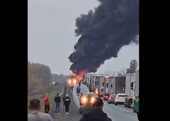 Поднялся черный столб дыма: фура загорелась на трассе в Новосибирской области