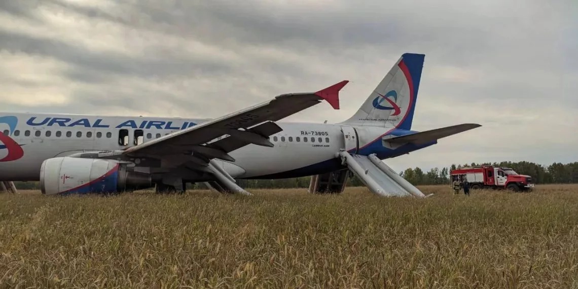 Суд над пилотом, посадившим самолет в поле под Новосибирском, состоится в Омске