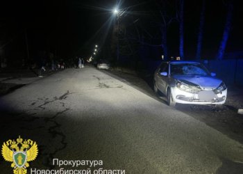 Женщину осудили за смертельное ДТП