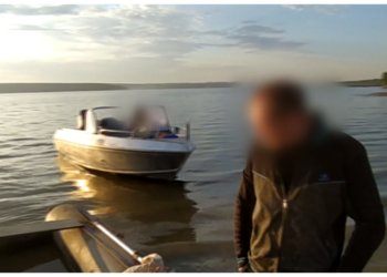 Рыбак получит «уголовку» за рыбалку на редких рыб в Искитиме