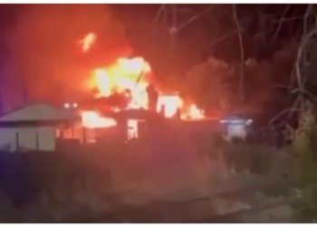 В страшном пожаре в зоокомплексе погибли почти 30 экзотических животных