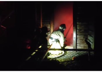 Ужасный пожар в Новосибирском зоопарке имени Шило унёс жизни нескольких питомцев