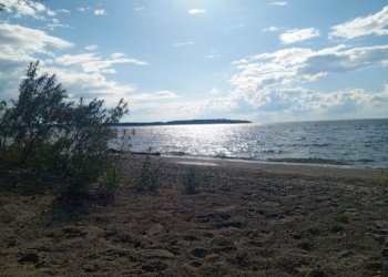 Акция по уборке береговой линии пройдёт в Новосибирской области