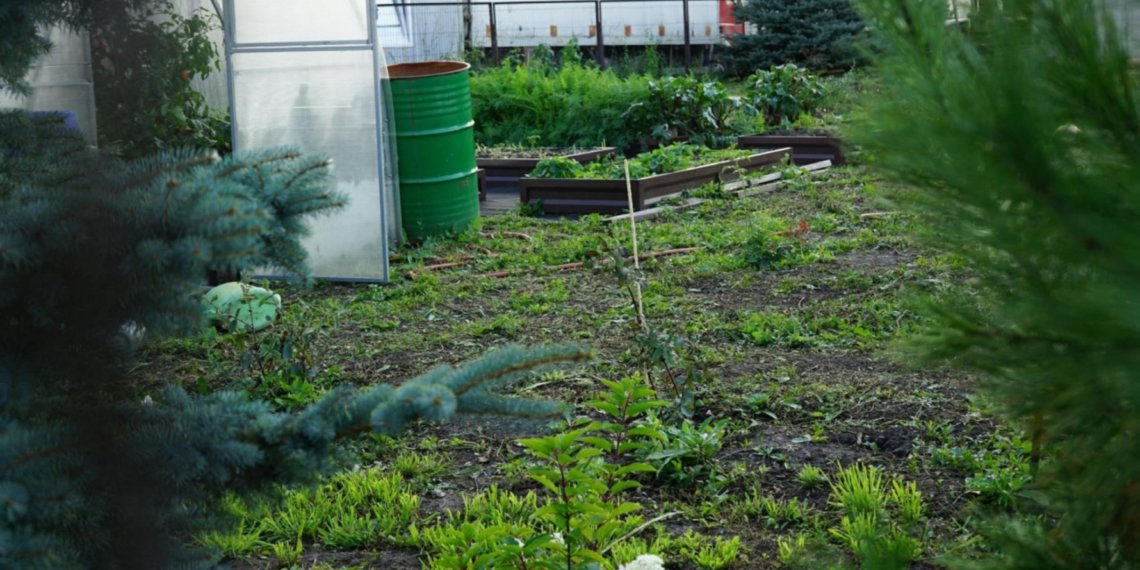 Как закрыть агросезон и заложить основу для будущего урожая