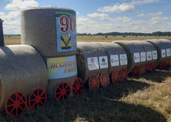 Паровоз из сена установили в Искитимском районе