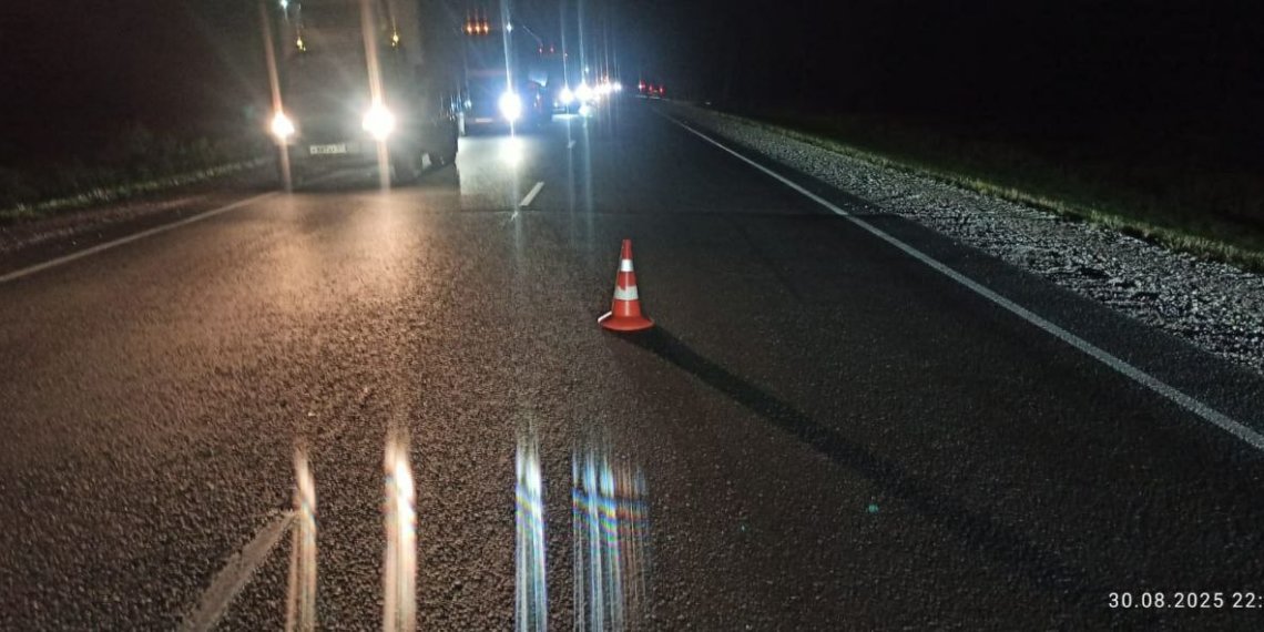 Семейная пара погибла после столкновения с лосем на дороге в Новосибирской области