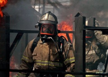 За прошедшую неделю 91 пожар случился в Новосибирской области