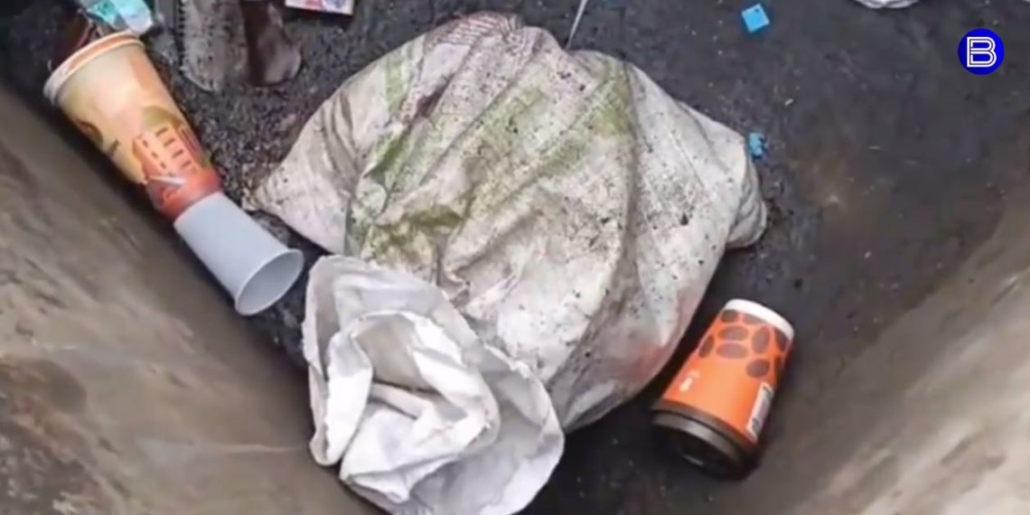 Мужчина выбросил трёх котят в мусорку в Бердске