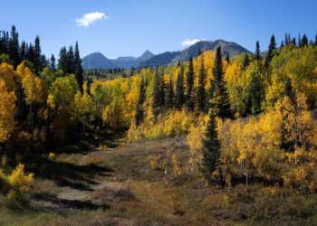 Новосибирских браконьеров будут искать с помощью нового оборудования