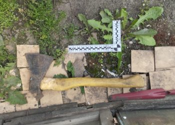 Житель Новосибирской области пытался убить собственную мать