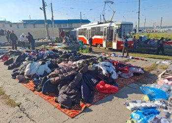 У нелегальных торговцев изъяли 1,5 кубометра товара на трамвайном кольце Гусинобродского шоссе