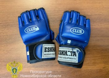 Дружеский спарринг во время застолья закончился смертью в Новосибирской области