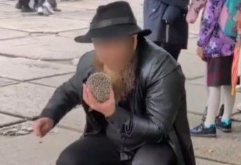 Жонглировал ежом: за что в итоге задержали новосибирца, пришедшего на школьную линейку