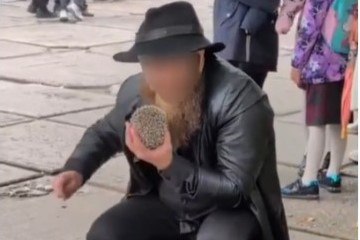 Жонглировал ежом: за что в итоге задержали новосибирца, пришедшего на школьную линейку