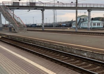 Срок за покупку диплома получил житель НСО