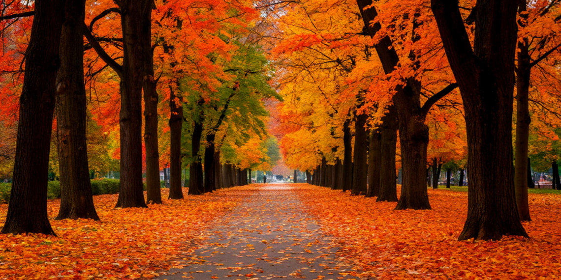 Прогноз погоды в Новосибирске на 22 октября 2025 года: облачно и прохладно