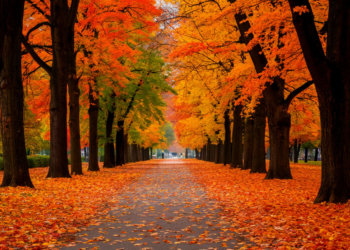 Прогноз погоды в Новосибирске на 22 октября 2025 года: облачно и прохладно