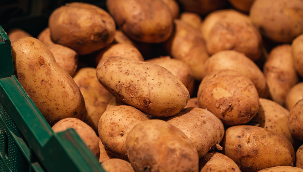Цены на картофель в Новосибирской области обвалились на треть после сбора нового урожая
