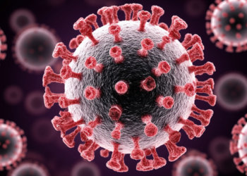 Вспышка кори и гепатита угрожает жителям Искитимского района Новосибирской области