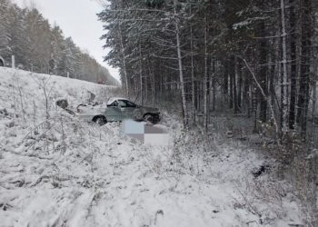 «Тойота» вылетела с трассы и врезалась в дерево под Новосибирском — водитель погиб