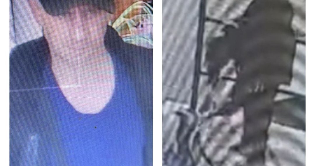 Новосибирец похитил лайку у магазина