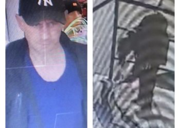 Новосибирец похитил лайку у магазина