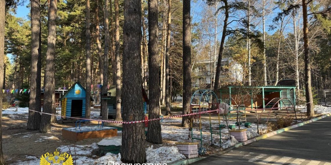 Бастрыкин заинтересовался инцидентом с падением дерева на 6-летнего ребёнка в Новосибирске